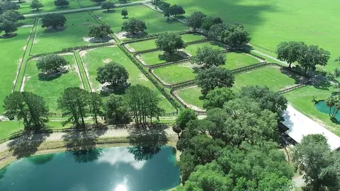 Other - 13450 NW Gainesville Rd, Reddick, FL 32686 photo 17 of 37