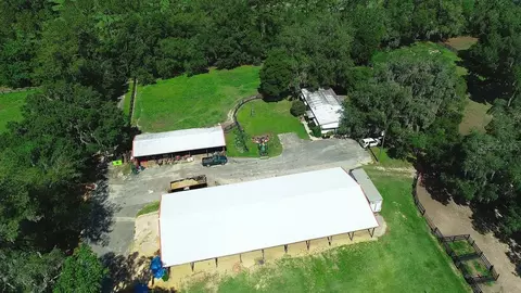 View/Area - 13450 NW Gainesville Rd, Reddick, FL 32686 photo 13 of 17