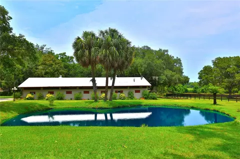 Other - 13450 NW Gainesville Rd, Reddick, FL 32686 photo 36 of 37