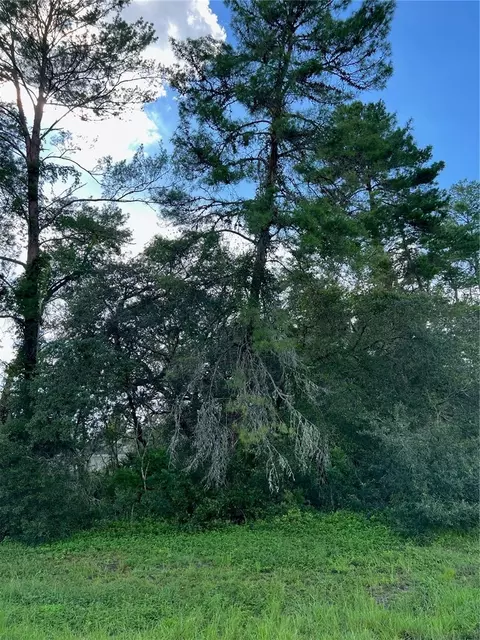 0 SW 164th Street Rd, Ocala, FL 34473
