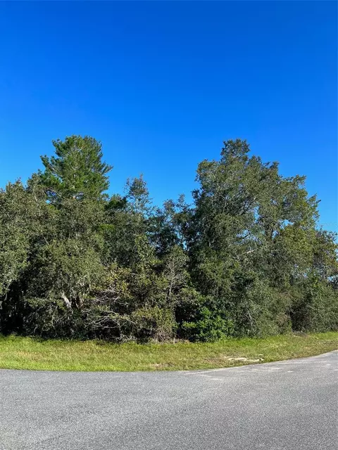 0 SW 45th Cir, Ocala, FL 34473