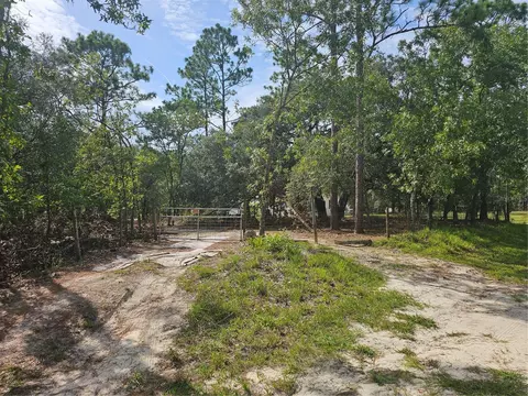 16676 SW 42nd Loop, Ocala, FL 34481