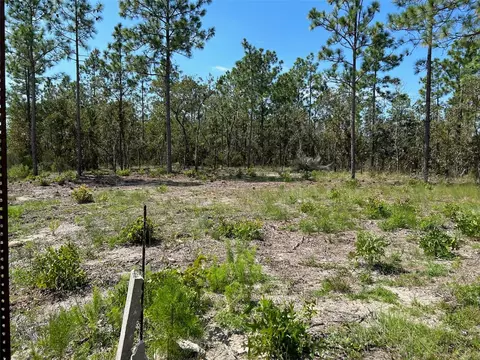 Tbd NE 13th Lane, Williston, FL 32696