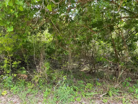 000 195th St Ter NE, Citra, FL 32113