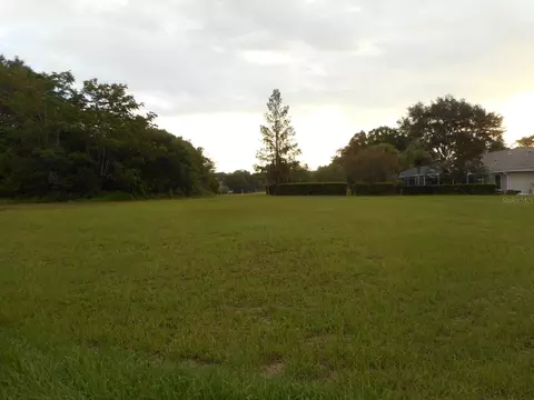 Lot 49 SW 196th Avenue, Dunnellon, FL 34432