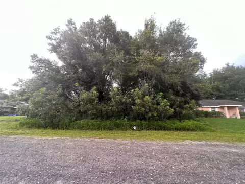 Lot 18 SW 107 Place, Dunnellon, FL 34432