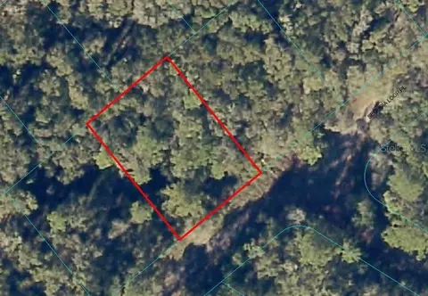 Sequoia Loop Pl, Ocklawaha, FL 32179