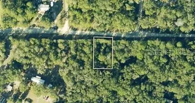 Tbd NE 230th Street, Fort Mc Coy, FL 32134