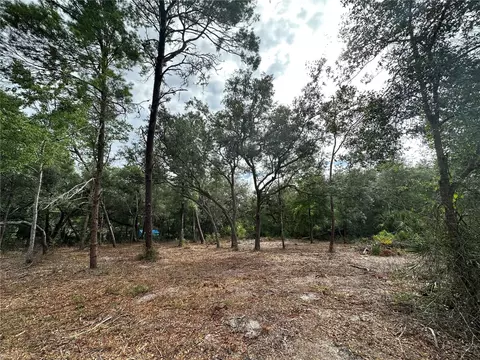 Tbd NE 111 Court, Fort Mc Coy, FL 32134