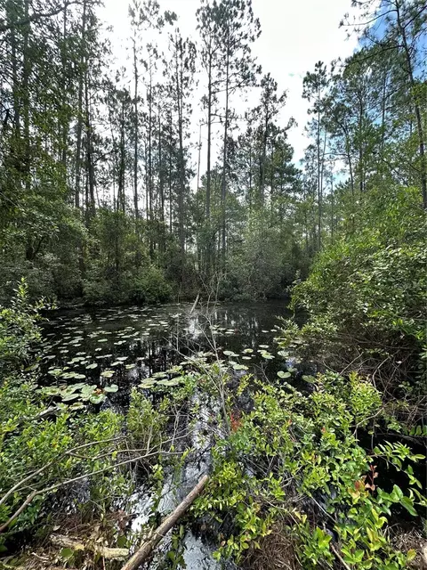 Tbd NE 234th Place Road, Fort Mc Coy, FL 32134