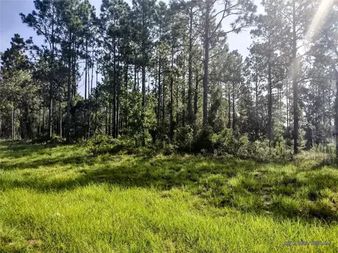 0 SE Hwy 337, Morriston, FL 32668