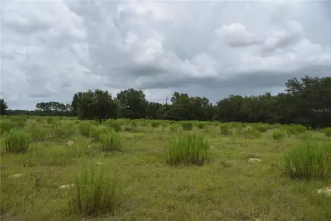 Se 115 Th Ave, Morriston, FL 32668