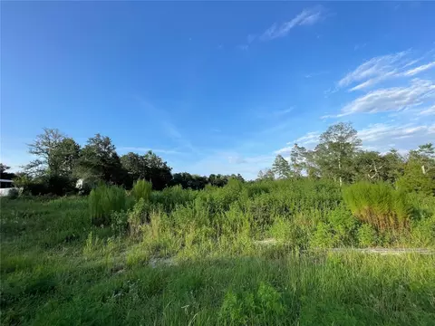 15917 SW 29th Court Rd, Ocala, FL 34473