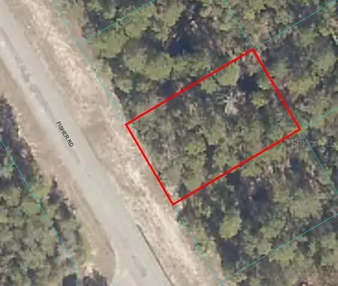 Fisher Rd, Ocklawaha, FL 32179