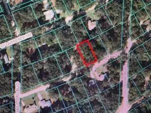Tbd St Benedict Drive Lot 112 Drive, Dunnellon, FL 34432