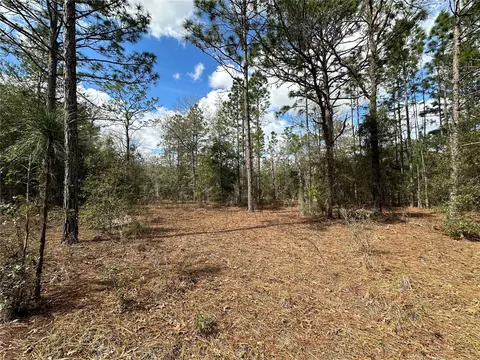21491 SE 73rd Pl, Morriston, FL 32668