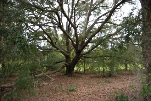 SE 165 Terrace Road, Ocklawaha, FL 32179