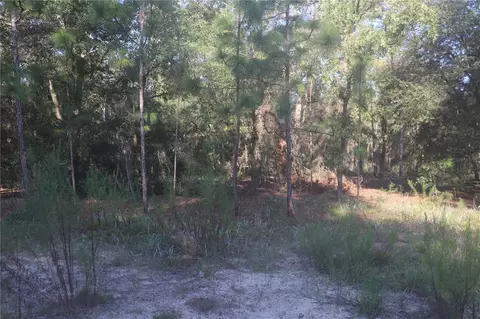 1552 SW 154th Ct, Ocala, FL 34481