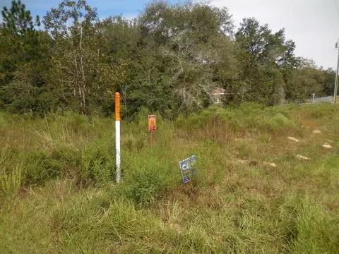 6291 NE 112th Ter, Williston, FL 32696 photo 5