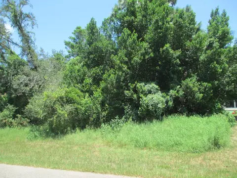 2466 Comerwood Dr, Spring Hill, FL 34609