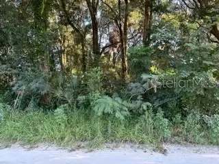 Tbd SE 140th Place, Summerfield, FL 34491