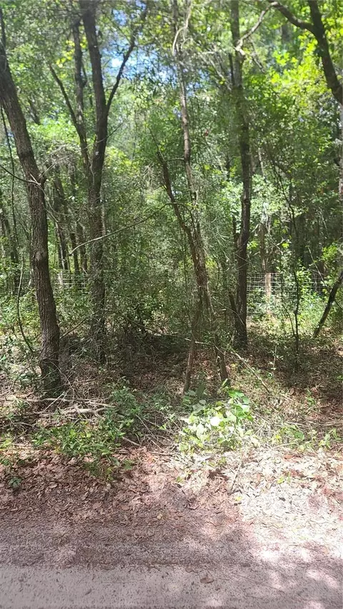 Nnnn SW 156 Place, Dunnellon, FL 34432