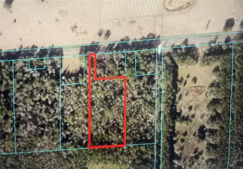 11330 W Highway 318, Reddick, FL 32686