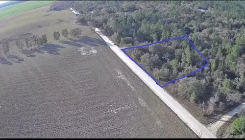 NE 123 Terrace, Williston, FL 32696