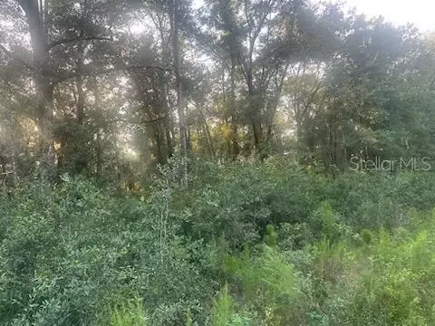 lot S 2 3 Sw 156 Ave, Ocala, FL 34481