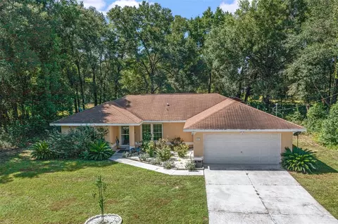 57 Bay Court Pass, Ocklawaha, FL 32179