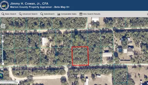 NE 233 Street, Fort Mc Coy, FL 32134