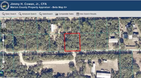 NE 233rd Street, Fort Mc Coy, FL 32134