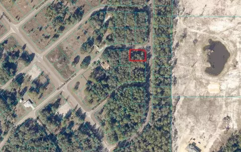 Tbd Sequoia Drive Trace, Ocklawaha, FL 32179