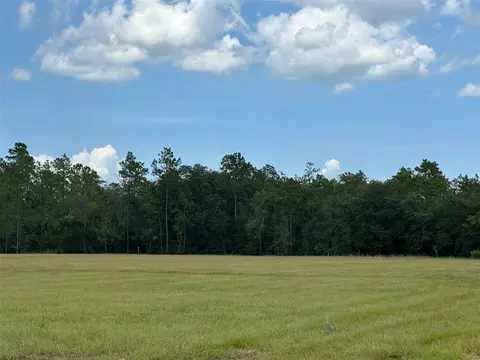 13895 SE 47th St Rd, Ocklawaha, FL 32179