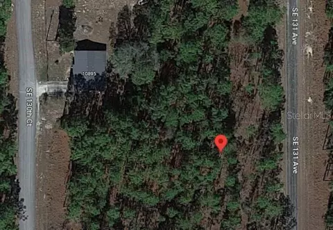 Lot 23 SE 131st Avenue, Dunnellon, FL 34431