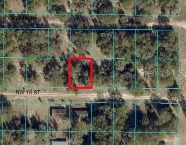 Tbd 56th Court Nw, Ocala, FL 34482