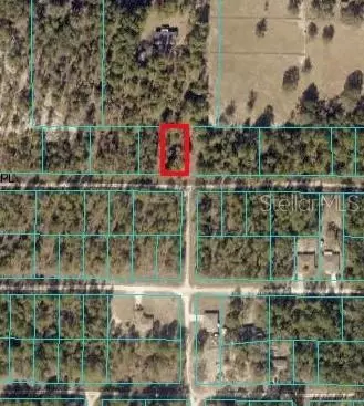 Tbd 38th Place Sw, Ocala, FL 34481
