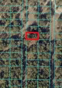 Tbd 151 Court Sw, Ocala, FL 34481