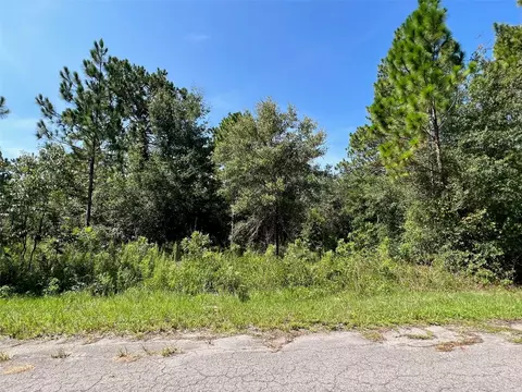 Guava Terrace Radl, Ocklawaha, FL 32179