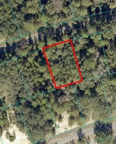 Fisher Way Pass, Ocklawaha, FL 32179