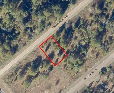 Sequoia Dr Crse, Ocklawaha, FL 32179