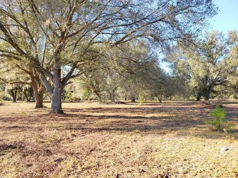 Hokkolen #4a NE Hwy 315, Fort Mc Coy, FL 32134