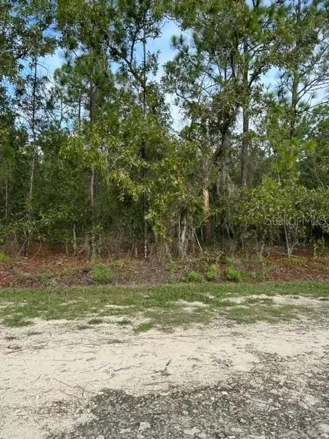 SW 125th Terrace, Dunnellon, FL 34432