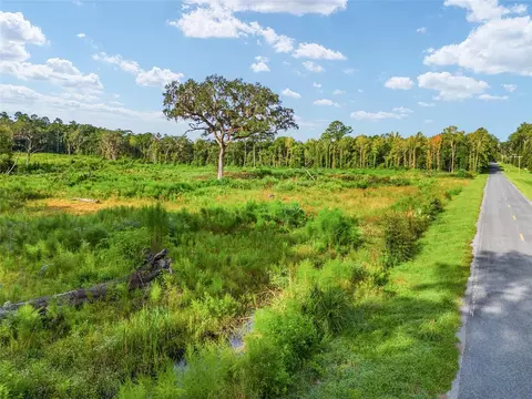 0 NW 193rd St, Micanopy, FL 32667