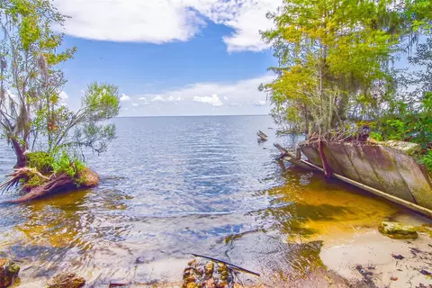 9021 NE 310th Ave, Salt Springs, FL 32134