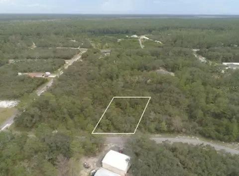 11 Fisher Trace, Ocklawaha, FL 32179