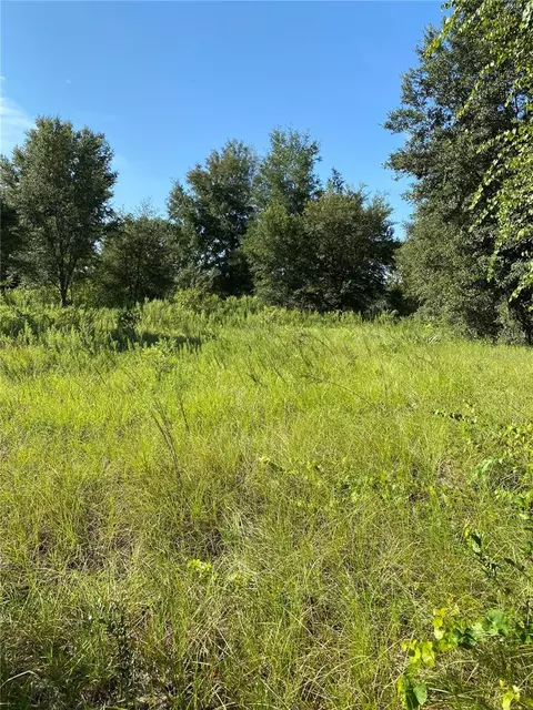 Locust Run Radial, Ocala, FL 34472