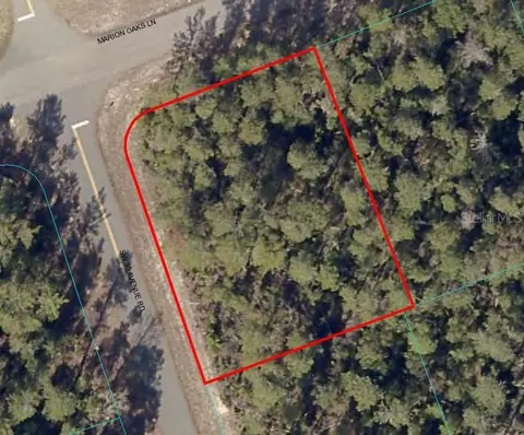 Marion Oaks Ln, Ocala, FL 34473