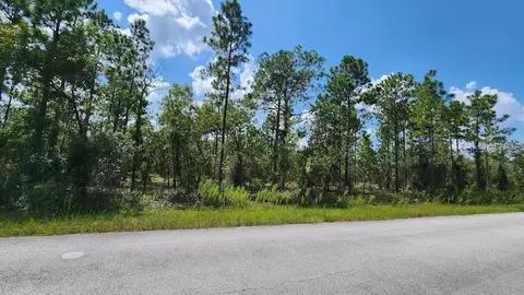 Lot 11 SW Viburnum Road, Dunnellon, FL 34431