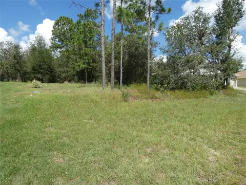 tbd SW 196 Avenue Rd, Dunnellon, FL 34432